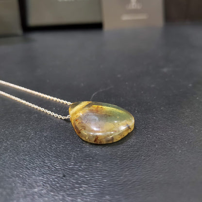 Collier en Argent 925 avec Pendentif en Ambre Naturelle à inclusions d'insectes