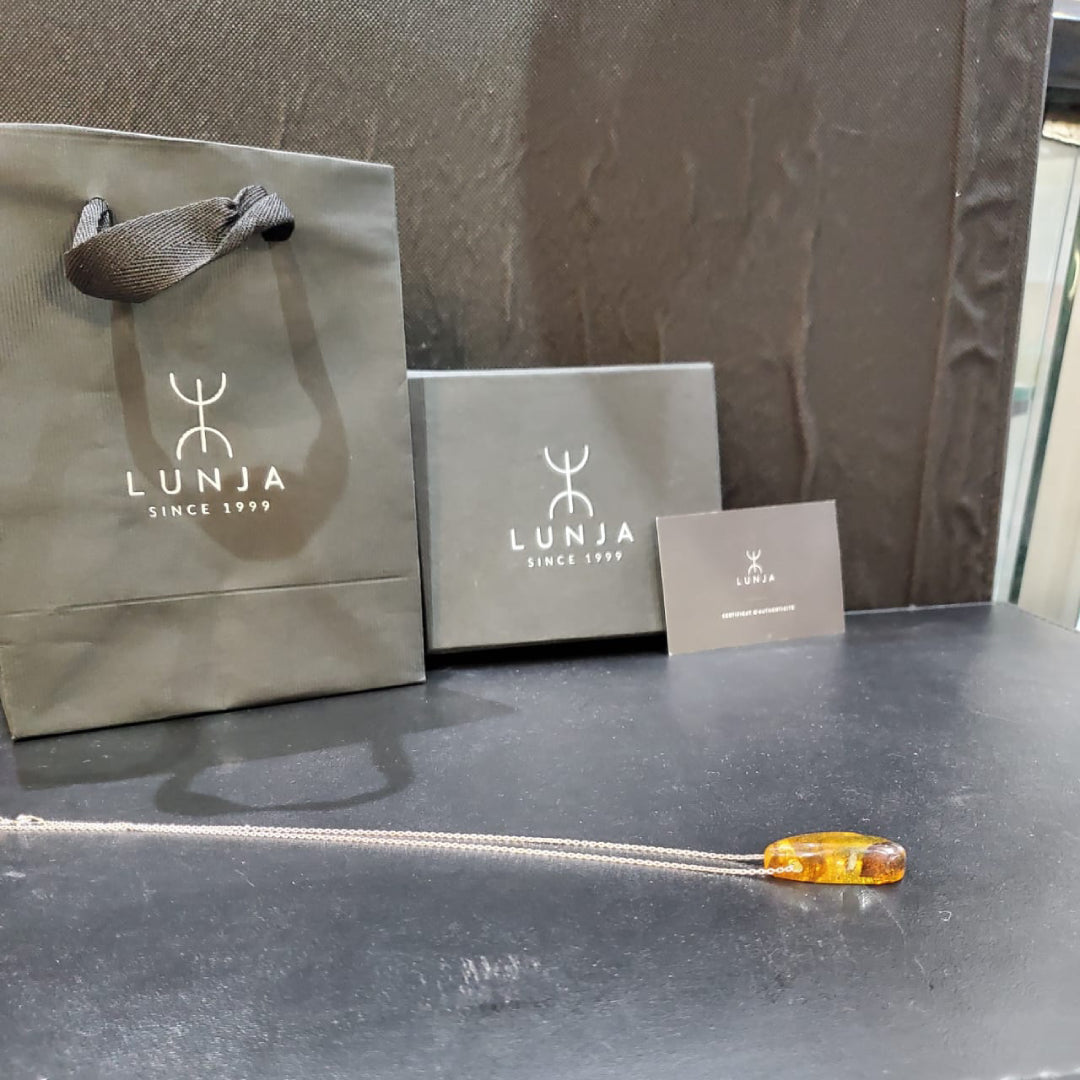 Collier en Argent 925 avec Pendentif en Ambre Naturelle à inclusions d'insectes