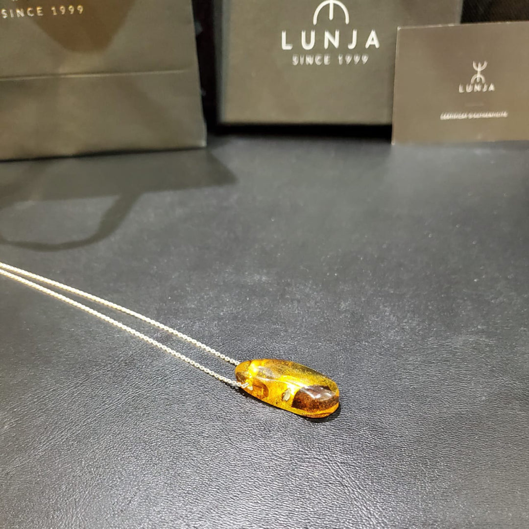 Collier en Argent 925 avec Pendentif en Ambre Naturelle à inclusions d'insectes